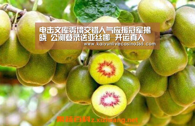 电击文库零境交错人气应援冠军揭晓 公测登录送亚丝娜-开运真人(图2) 开运真人