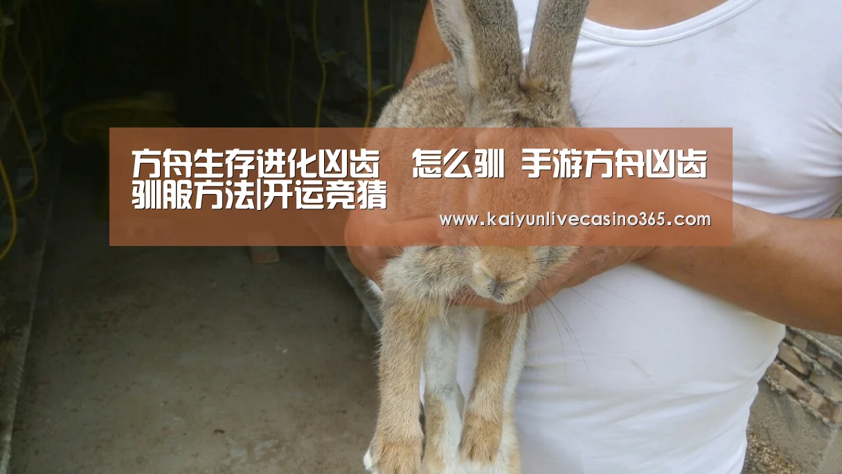方舟生存进化凶齿豨怎么驯 手游方舟凶齿豨驯服方法|开运竞猜(图1) 开运官网
